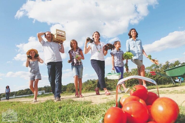 Cueillette de fruits : le temps des vergers