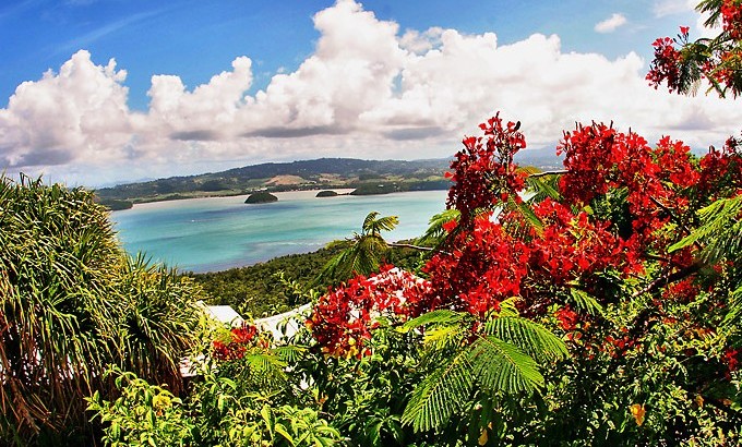 La Martinique, fleur des Caraïbes