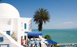 tunisia-winter-birds-hotel