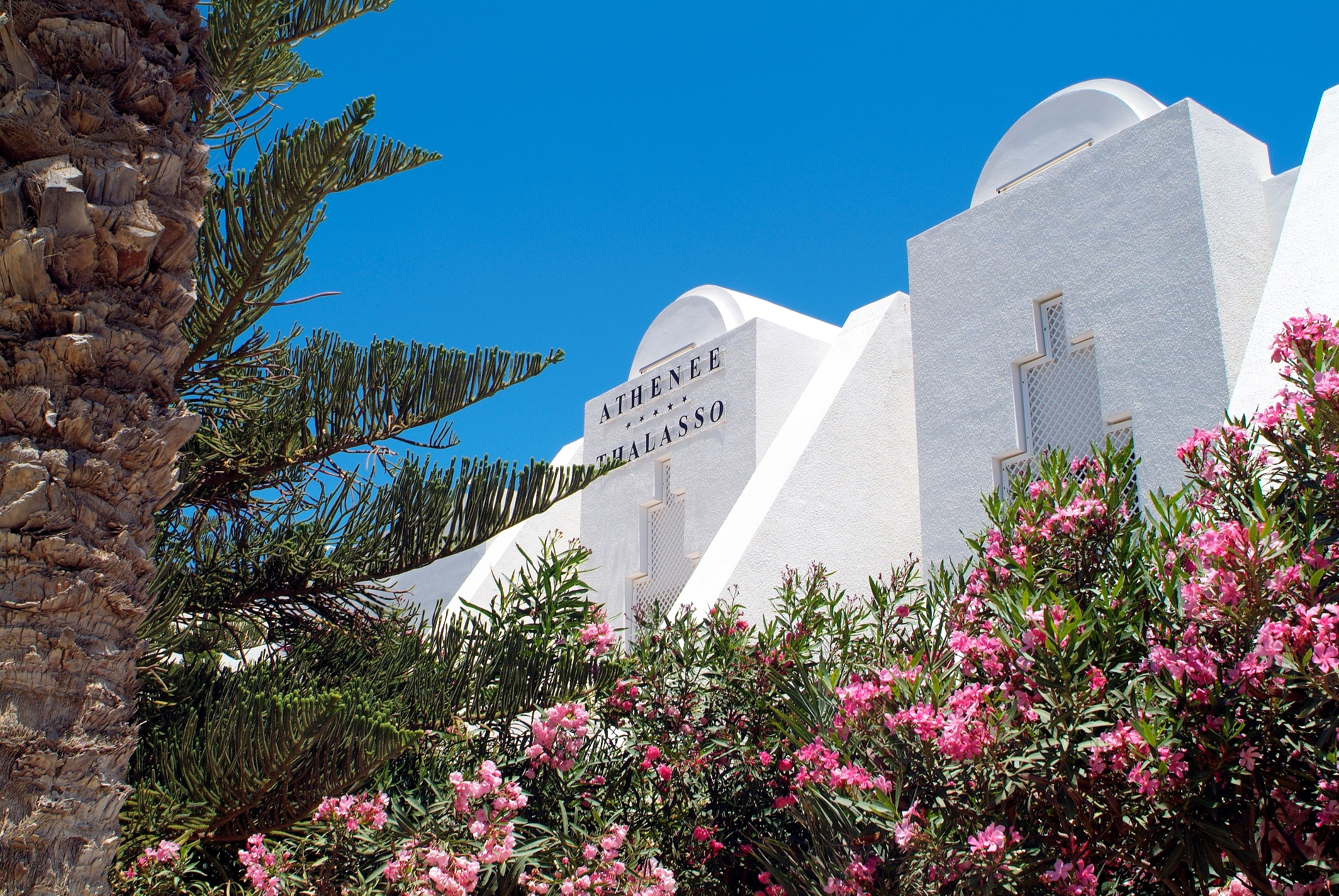 Les stars plébiscitent la thalasso à Djerba