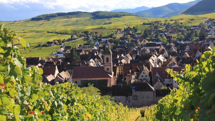 Route des vins : commençons par le Bas-Rhin