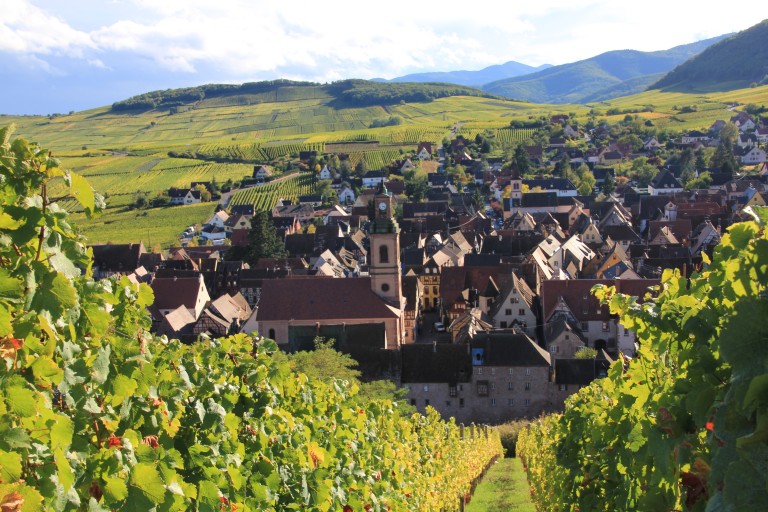 Route des vins : commençons par le Bas-Rhin