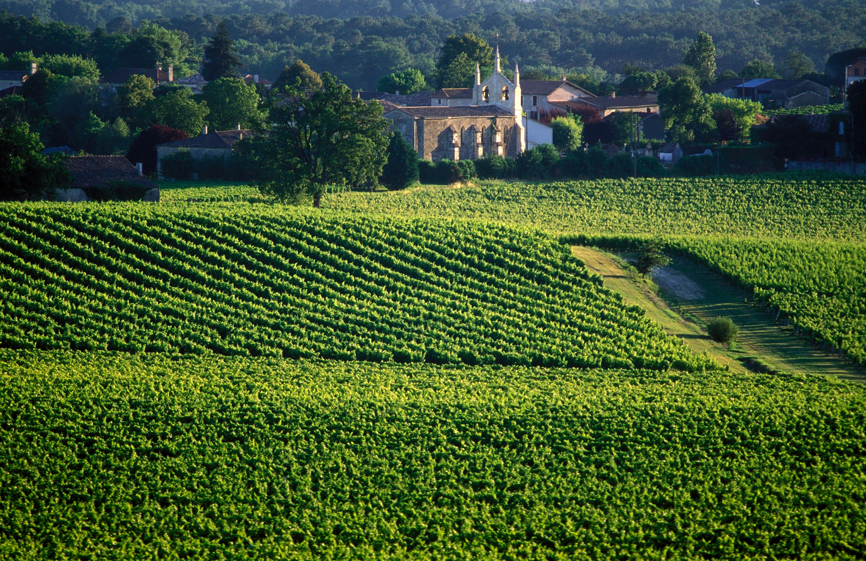 vignobles-bordelais