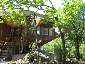 Yoga, sylvothérapie et méditation avec vue sur les Monts de l'Ardèche