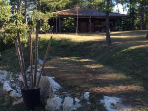 Yoga, méditation et formation à la sylvothérapie