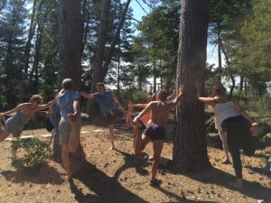 Faire du yoga et de la sylvothérapie en forêt