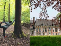 Sylvothérapie et Yoga en Normandie