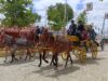 Feria de Séville 2025 en famille